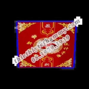 SÁCH XĂM THẪM MỸ